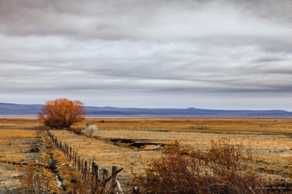 Summer Lake plains-1630.jpg